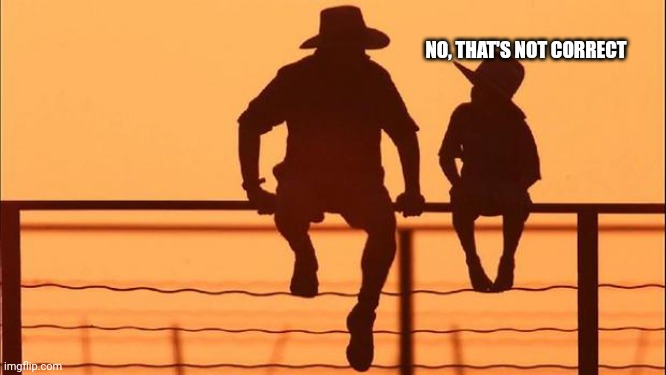 Cowboy father and son | NO, THAT'S NOT CORRECT | image tagged in cowboy father and son | made w/ Imgflip meme maker