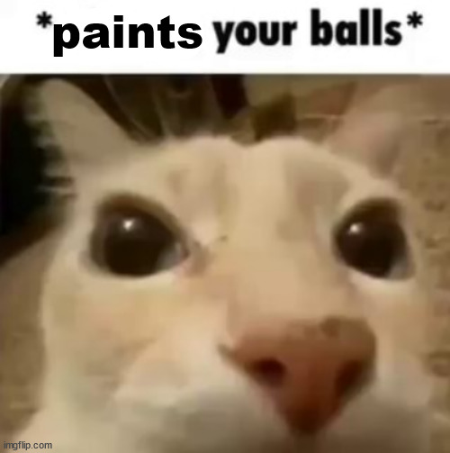 X your balls | paints | image tagged in x your balls | made w/ Imgflip meme maker