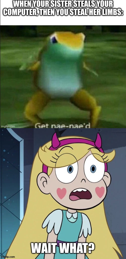 Of course, Star would say this. | image tagged in star butterfly wait what,get nae-nae'd,star vs the forces of evil,memes,svtfoe,funny | made w/ Imgflip meme maker