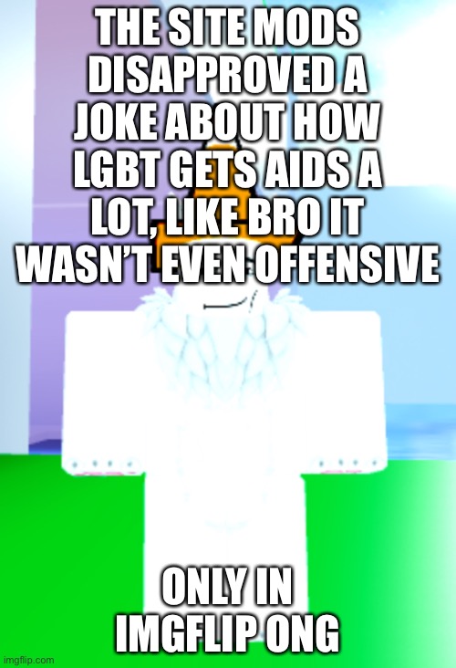 Imma keep it real with you either the site mods just want to bully people or they get too offended to be a mod | THE SITE MODS DISAPPROVED A JOKE ABOUT HOW LGBT GETS AIDS A LOT, LIKE BRO IT WASN’T EVEN OFFENSIVE; ONLY IN IMGFLIP ONG | image tagged in soy pro | made w/ Imgflip meme maker