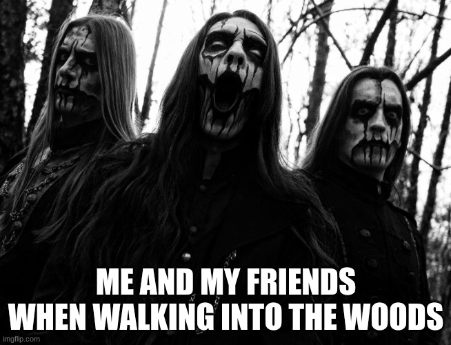 i think not black metal | ME AND MY FRIENDS WHEN WALKING INTO THE WOODS | image tagged in i think not black metal | made w/ Imgflip meme maker