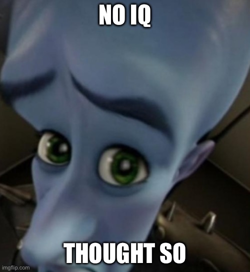 Megamind no bitches | NO IQ; THOUGHT SO | image tagged in megamind no bitches | made w/ Imgflip meme maker