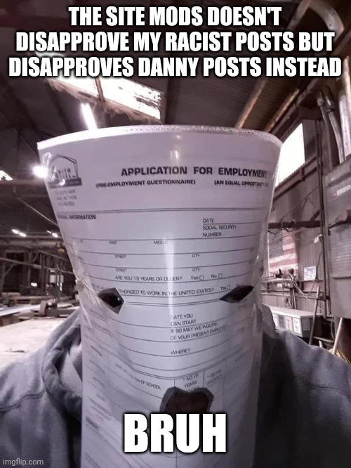 job application jumpscare | THE SITE MODS DOESN'T DISAPPROVE MY RACIST POSTS BUT DISAPPROVES DANNY POSTS INSTEAD; BRUH | image tagged in job application jumpscare | made w/ Imgflip meme maker