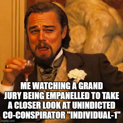 As predicted, Stormy Daniels is proving to be Mar-a-Lardo's albatross. | ME WATCHING A GRAND JURY BEING EMPANELLED TO TAKE A CLOSER LOOK AT UNINDICTED CO-CONSPIRATOR "INDIVIDUAL-1" | image tagged in leo laughing,trump lies,stormy daniels,boomerang | made w/ Imgflip meme maker
