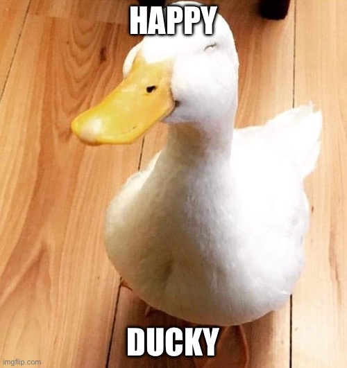 SMILE DUCK | HAPPY DUCKY | image tagged in smile duck | made w/ Imgflip meme maker