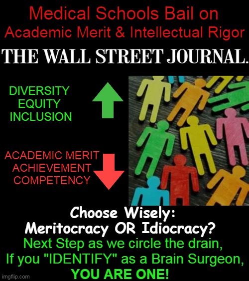 This is What "Racial Privilege" Really Looks Like.... | Medical Schools Bail on; Academic Merit & Intellectual Rigor; DIVERSITY 
EQUITY 
INCLUSION; ACADEMIC MERIT
ACHIEVEMENT
COMPETENCY; Choose Wisely:
Meritocracy OR Idiocracy? Next Step as we circle the drain, 
If you "IDENTIFY" as a Brain Surgeon, YOU ARE ONE! | image tagged in politics,wall street journal,diversity equity inclusion,meritocracy,idiocracy,political humor | made w/ Imgflip meme maker