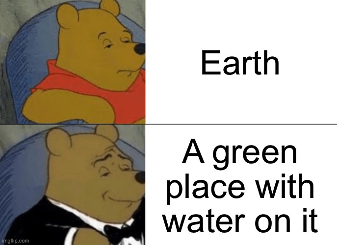Fancy Earth | Earth; A green place with water on it | image tagged in memes,tuxedo winnie the pooh,fancy | made w/ Imgflip meme maker