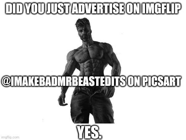Advertising Mastermind | DID YOU JUST ADVERTISE ON IMGFLIP; @IMAKEBADMRBEASTEDITS ON PICSART; YES. | image tagged in advertisement | made w/ Imgflip meme maker