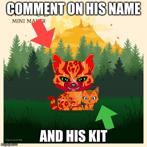 need name for him and kit | COMMENT ON HIS NAME; AND HIS KIT | image tagged in warrior cats,cats | made w/ Imgflip meme maker