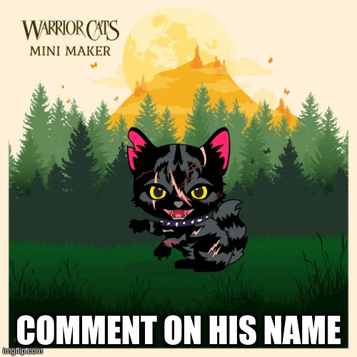 warriors cats needddsssss name | COMMENT ON HIS NAME | image tagged in warrior cats,cats,oh wow are you actually reading these tags | made w/ Imgflip meme maker