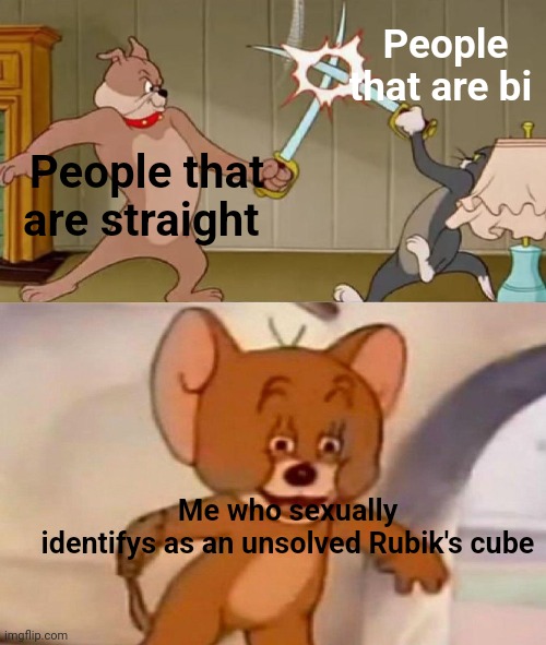Tom and Jerry swordfight | People that are bi; People that are straight; Me who sexually identifys as an unsolved Rubik's cube | image tagged in tom and jerry swordfight | made w/ Imgflip meme maker