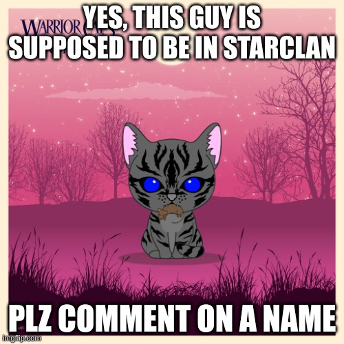 need name plz comment on naem | YES, THIS GUY IS SUPPOSED TO BE IN STARCLAN; PLZ COMMENT ON A NAME | image tagged in warrior cats,oh wow are you actually reading these tags,cats | made w/ Imgflip meme maker