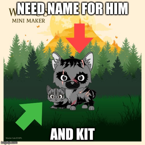 need name | NEED NAME FOR HIM; AND KIT | image tagged in warrior cats,oh wow are you actually reading these tags,hehehe,cats | made w/ Imgflip meme maker