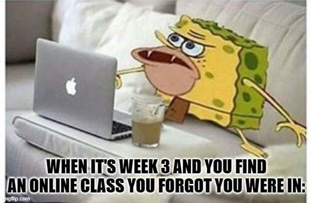 Online Class | WHEN IT'S WEEK 3 AND YOU FIND AN ONLINE CLASS YOU FORGOT YOU WERE IN: | image tagged in spongegar computer,college | made w/ Imgflip meme maker