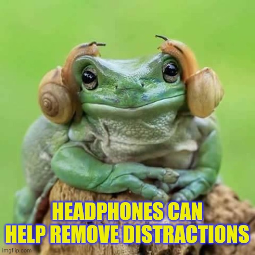Removing noise distractions o | HEADPHONES CAN HELP REMOVE DISTRACTIONS | image tagged in frog wireless headphones | made w/ Imgflip meme maker