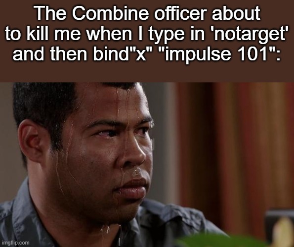 I do this for the sake of fun | The Combine officer about to kill me when I type in 'notarget' and then bind"x" "impulse 101": | image tagged in sweating bullets | made w/ Imgflip meme maker