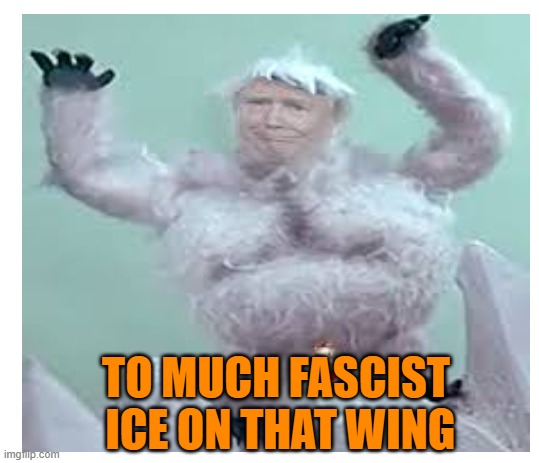 TO MUCH FASCIST  ICE ON THAT WING | made w/ Imgflip meme maker