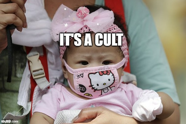 Asian Baby In Hello Kitty Face Mask | IT'S A CULT | image tagged in asian baby in hello kitty face mask | made w/ Imgflip meme maker