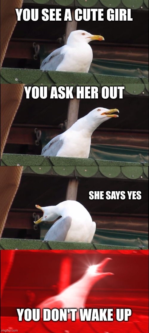 Inhaling Seagull | YOU SEE A CUTE GIRL; YOU ASK HER OUT; SHE SAYS YES; YOU DON'T WAKE UP | image tagged in memes,inhaling seagull | made w/ Imgflip meme maker