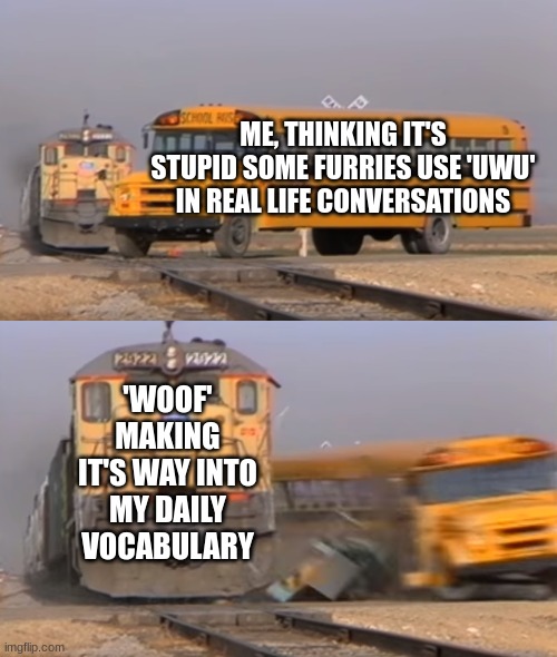 Woof, okay. | ME, THINKING IT'S STUPID SOME FURRIES USE 'UWU' IN REAL LIFE CONVERSATIONS; 'WOOF' MAKING IT'S WAY INTO MY DAILY VOCABULARY | image tagged in a train hitting a school bus | made w/ Imgflip meme maker