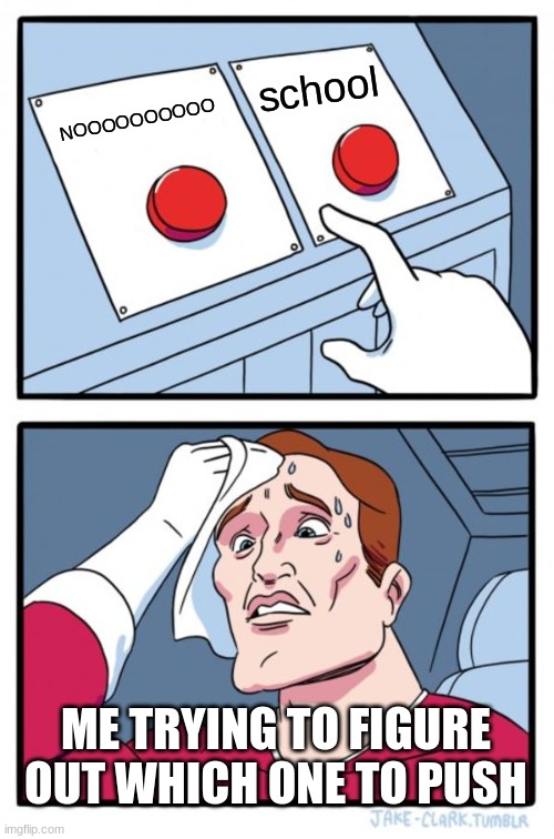 Why me | school; NOOOOOOOOOO; ME TRYING TO FIGURE OUT WHICH ONE TO PUSH | image tagged in memes,two buttons | made w/ Imgflip meme maker