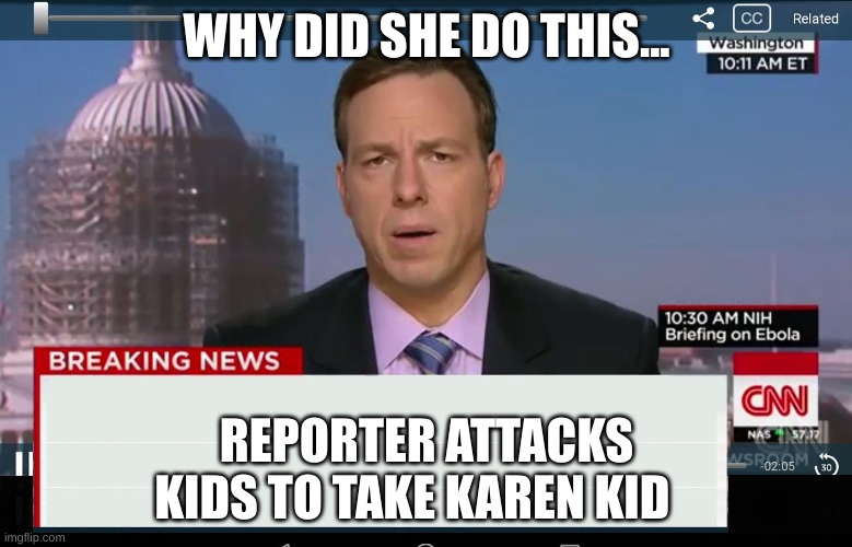 wtf reporter!!! | WHY DID SHE DO THIS... REPORTER ATTACKS KIDS TO TAKE KAREN KID | image tagged in cnn crazy news network,reporter | made w/ Imgflip meme maker