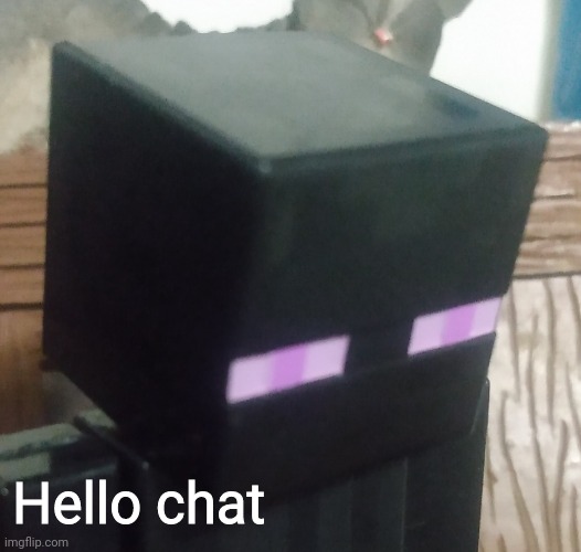 Enderman stare | Hello chat | image tagged in enderman stare | made w/ Imgflip meme maker