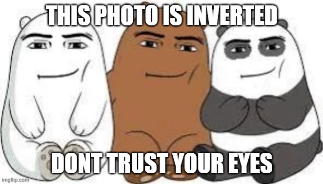 THIS PHOTO IS INVERTED; DONT TRUST YOUR EYES | made w/ Imgflip meme maker
