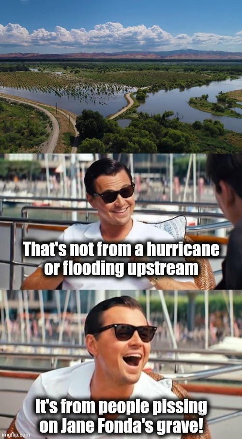 Hurry up and die, bitch! | That's not from a hurricane
or flooding upstream; It's from people pissing
on Jane Fonda's grave! | image tagged in memes,leonardo dicaprio wolf of wall street,jane fonda,grave,flood,democrats | made w/ Imgflip meme maker