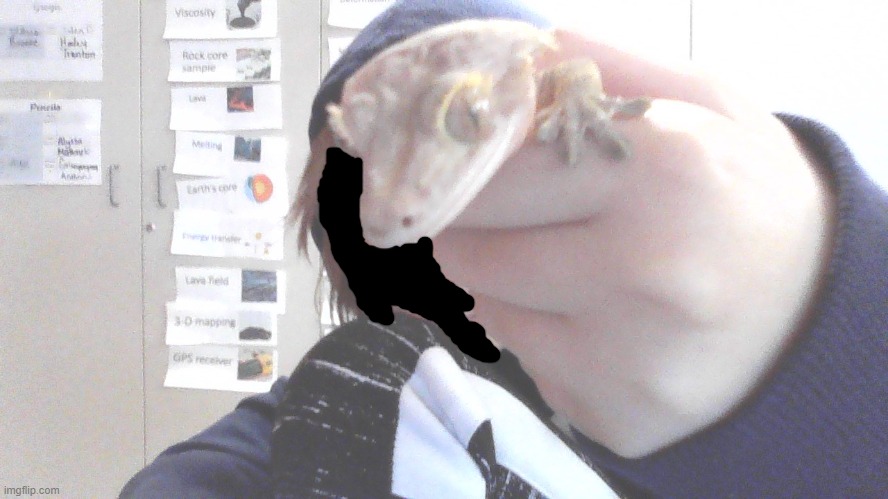 This is Grogu! he is a crested gecko and is my science teachers pet. | image tagged in e | made w/ Imgflip meme maker
