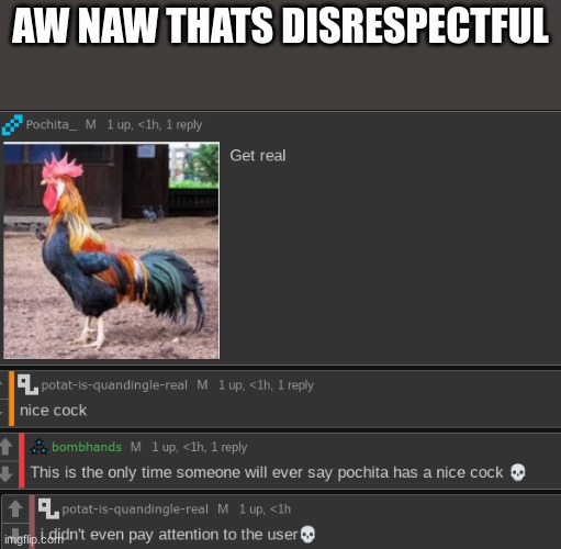 hes not wrong though- | AW NAW THATS DISRESPECTFUL | made w/ Imgflip meme maker