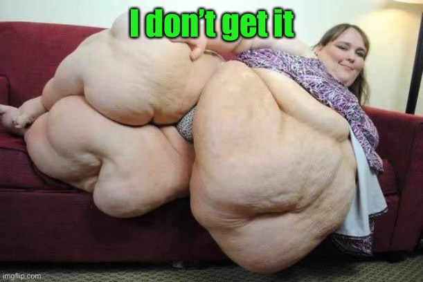 fat girl | I don’t get it | image tagged in fat girl | made w/ Imgflip meme maker