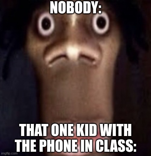 Quandale dingle | NOBODY:; THAT ONE KID WITH THE PHONE IN CLASS: | image tagged in quandale dingle | made w/ Imgflip meme maker