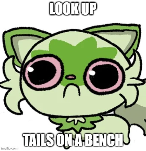 weed cat | LOOK UP; TAILS ON A BENCH | image tagged in weed cat | made w/ Imgflip meme maker