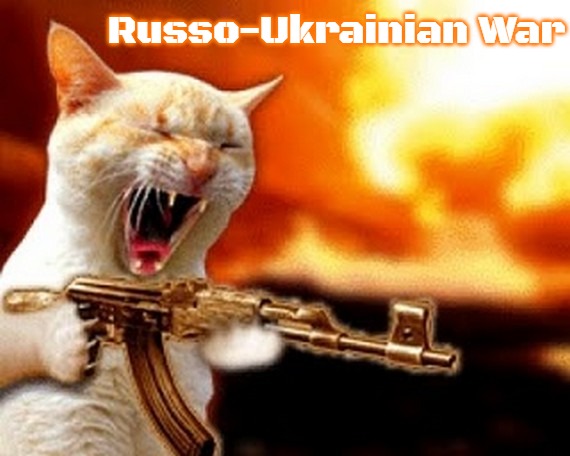 machine gun cat | Russo-Ukrainian War | image tagged in machine gun cat,russo-ukrainian war,slavic | made w/ Imgflip meme maker