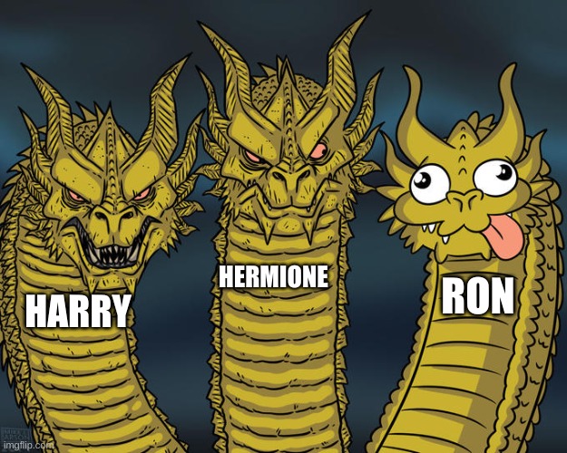 i love you ron....but | HERMIONE; RON; HARRY | image tagged in three-headed dragon,harry potter | made w/ Imgflip meme maker