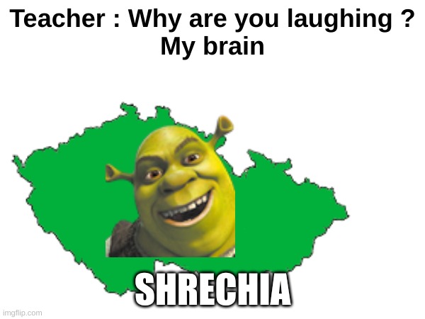 lol | Teacher : Why are you laughing ?
My brain; SHRECHIA | image tagged in fun | made w/ Imgflip meme maker
