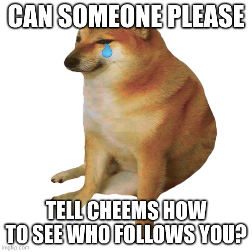 pls? | CAN SOMEONE PLEASE; TELL CHEEMS HOW TO SEE WHO FOLLOWS YOU? | image tagged in cheems | made w/ Imgflip meme maker