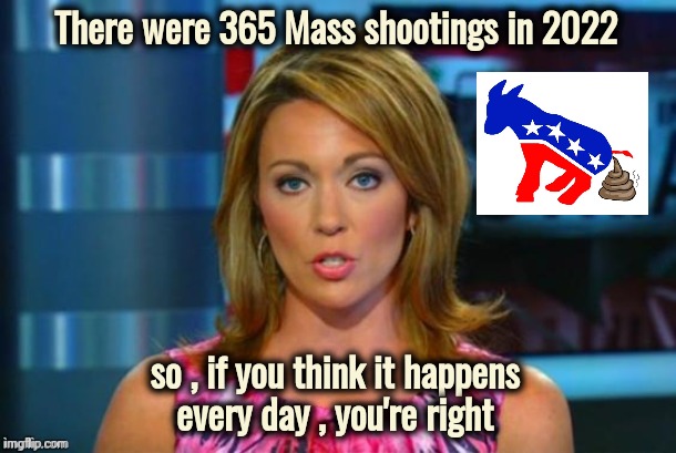 That Record is in Jeopardy | There were 365 Mass shootings in 2022; so , if you think it happens
 every day , you're right | image tagged in real news network,police lives matter,stupid liberals,responsibility,see nobody cares | made w/ Imgflip meme maker