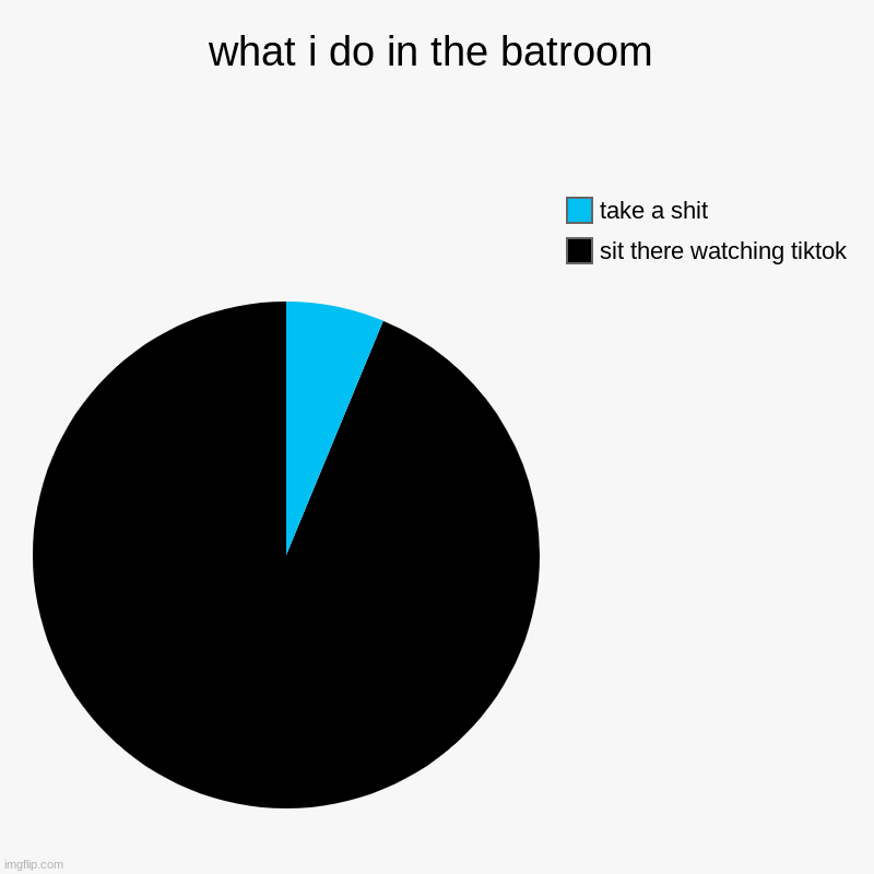 what i do in the batroom | sit there watching tiktok, take a shit | image tagged in charts,pie charts | made w/ Imgflip chart maker