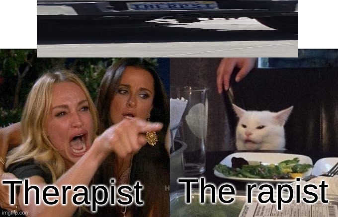 Woman Yelling At Cat | The rapist; Therapist | image tagged in memes,woman yelling at cat | made w/ Imgflip meme maker
