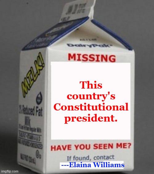 Milk carton | This country's Constitutional president. ---Elaina Williams | image tagged in milk carton | made w/ Imgflip meme maker