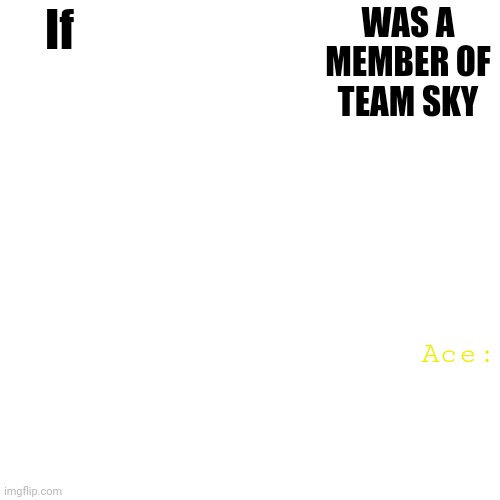 High Quality Team sky team template Blank Meme Template