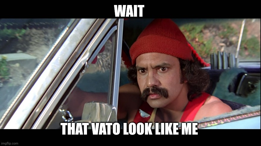 WAIT THAT VATO LOOK LIKE ME | image tagged in cheech | made w/ Imgflip meme maker