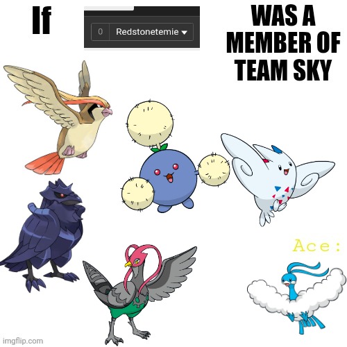 I made this a template btw | image tagged in team sky team template,pokemon,team sky,flying | made w/ Imgflip meme maker