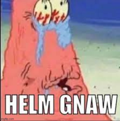 HELM GNAW | image tagged in helm gnaw | made w/ Imgflip meme maker