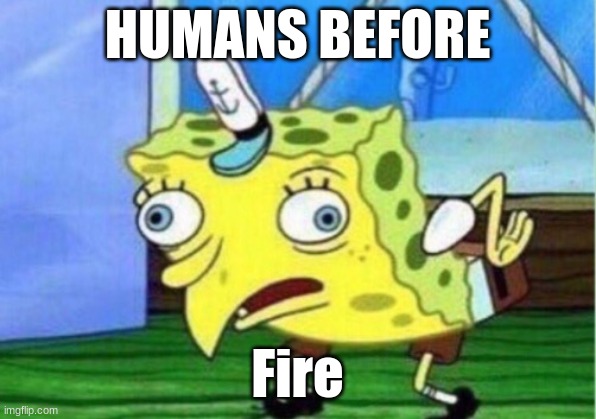 Mocking Spongebob | HUMANS BEFORE; Fire | image tagged in memes,mocking spongebob | made w/ Imgflip meme maker