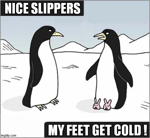 Penguin Sarcasm ! | NICE SLIPPERS; MY FEET GET COLD ! | image tagged in penguin,sarcasm,cold feet | made w/ Imgflip meme maker