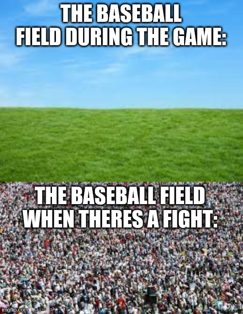 where all the people come from | THE BASEBALL FIELD DURING THE GAME:; THE BASEBALL FIELD WHEN THERES A FIGHT: | image tagged in baseball,major league baseball,fight,fighting | made w/ Imgflip meme maker