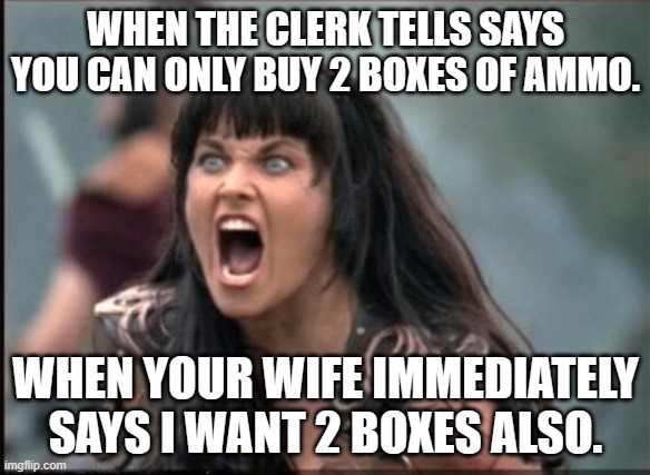 Smart wife | WHEN THE CLERK TELLS SAYS YOU CAN ONLY BUY 2 BOXES OF AMMO. WHEN YOUR WIFE IMMEDIATELY SAYS I WANT 2 BOXES ALSO. | image tagged in screaming woman | made w/ Imgflip meme maker